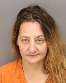 Amanda Leigh Tenney Booking Photo